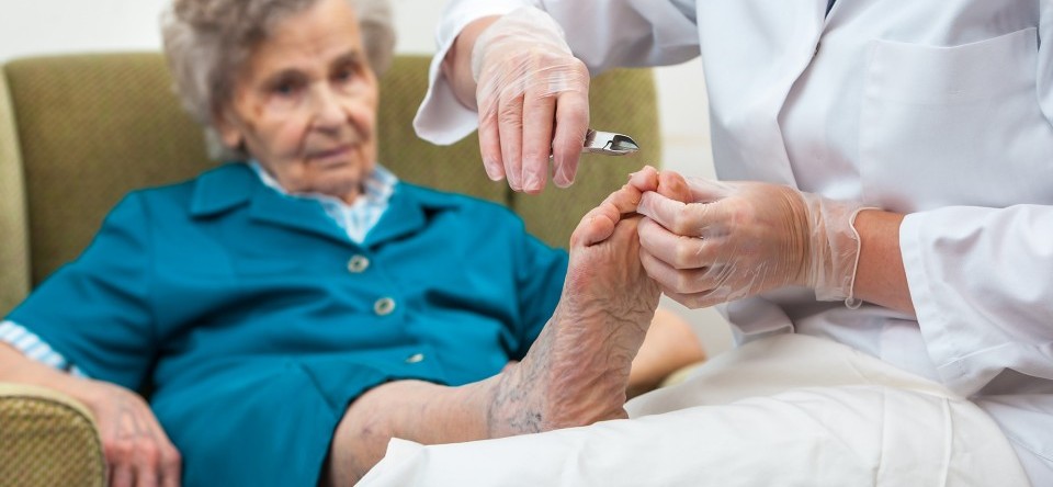 Nursing Home & Aged Care Services